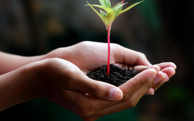 Comment avoir la main verte avec le magnétisme ?
